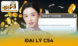 đại lý C54